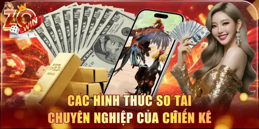 Các hình thức so tài chuyên nghiệp của chiến kê