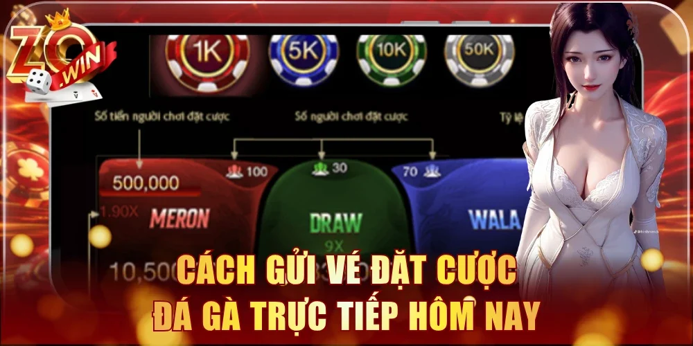 Cách gửi vé đặt cược đá gà trực tiếp hôm nay