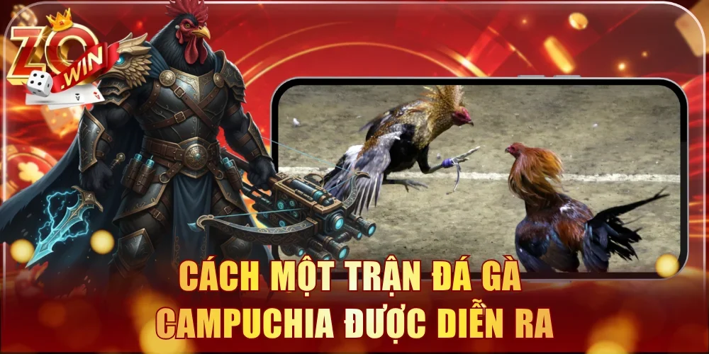 Cách một trận đá gà Campuchia được diễn ra