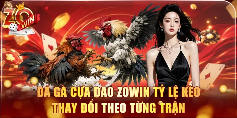 Đá gà cựa dao Zowin tỷ lệ kèo thay đổi theo từng trận