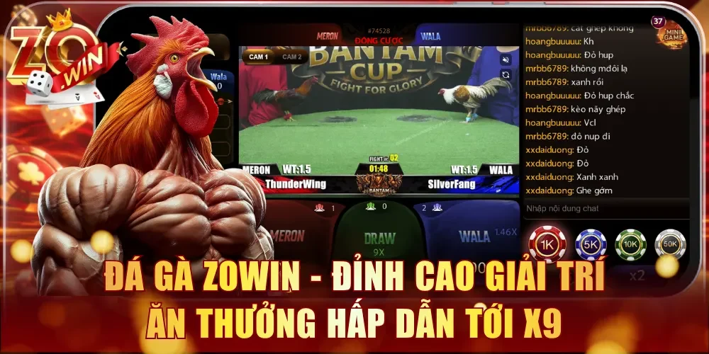 Đá gà Zowin