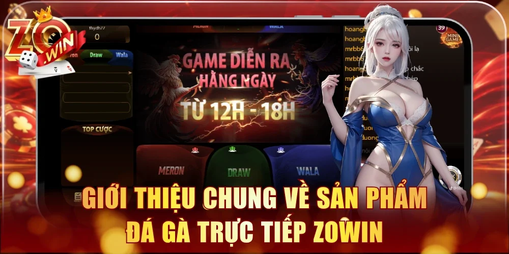 Giới thiệu chung về sản phẩm đá gà trực tiếp Zowin